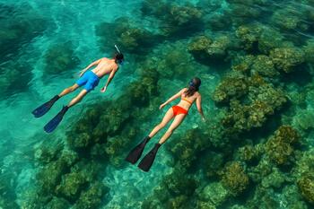 Two snorkelers staying close with a buddy system