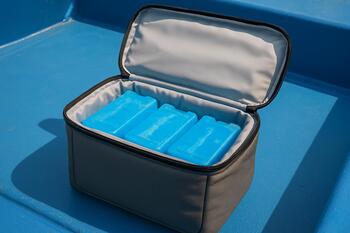 Soft-walled cooler with zip and ice packs inside